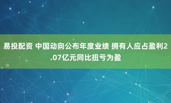易投配资 中国动向公布年度业绩 拥有人应占盈利2.07亿元同比扭亏为盈
