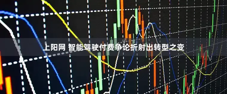 上阳网 智能驾驶付费争论折射出转型之变